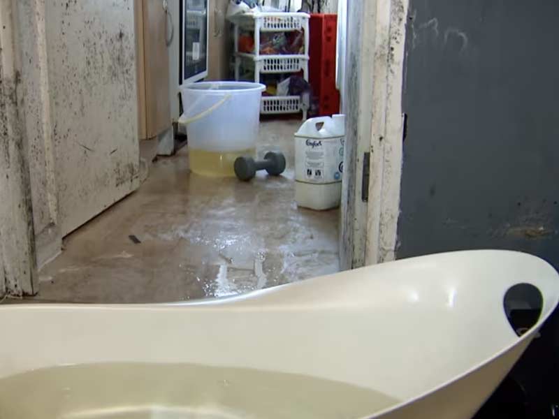 damp-social-housing